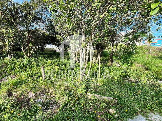 Terreno para Venda em Bombinhas - 5